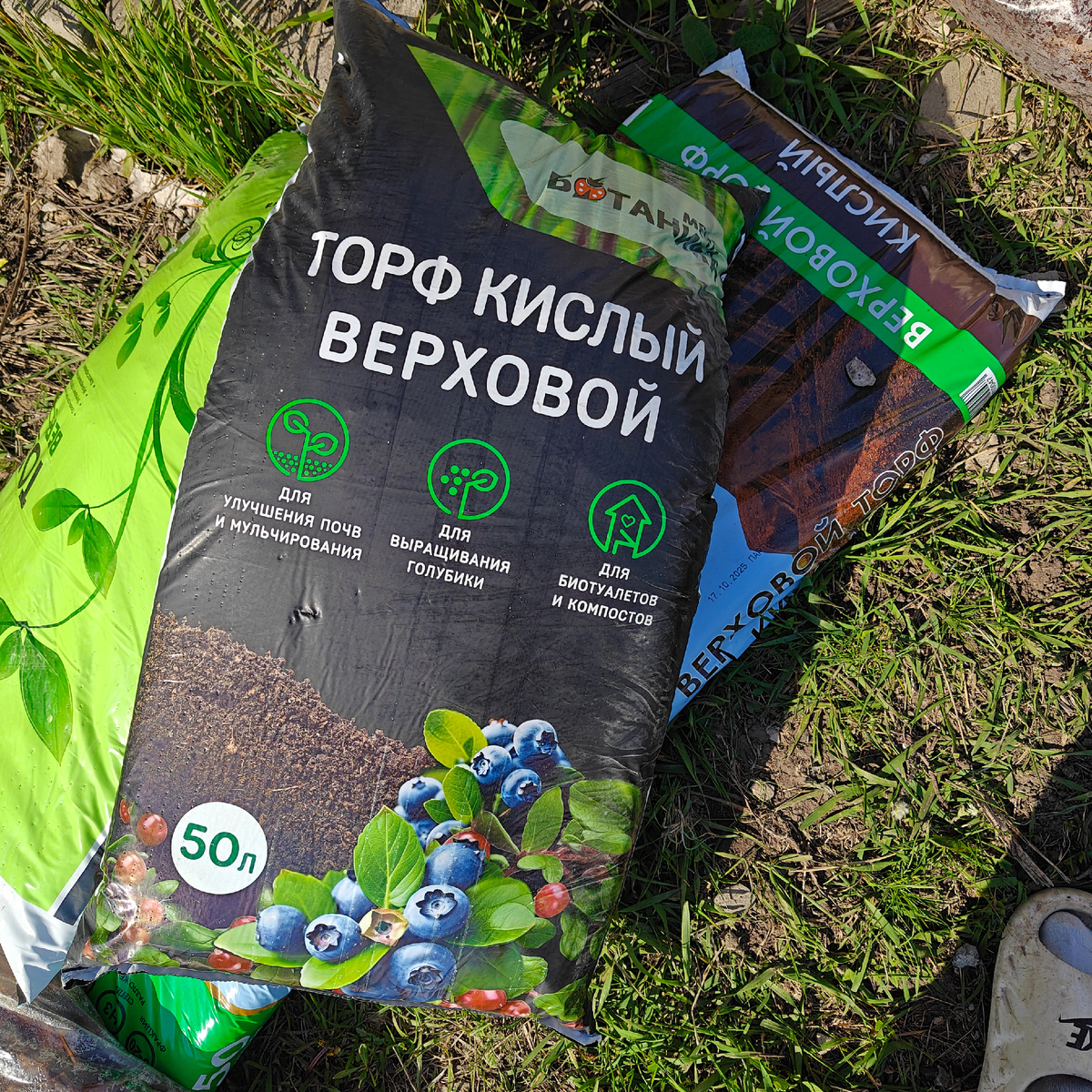Торф купила разных марок, чтобы попробовать на каком будет лучше голубика расти. Фото автора.