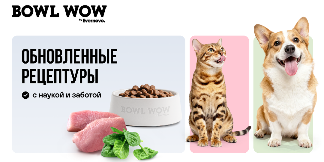Обновления в наших составах