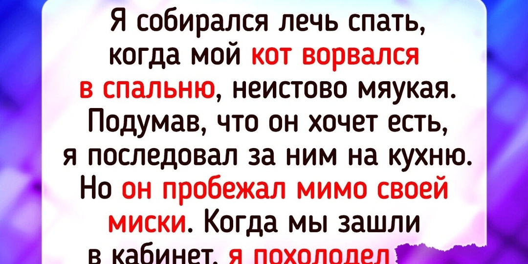 17 историй о братьях наших меньших, после которых на душе расцветут ромашки
