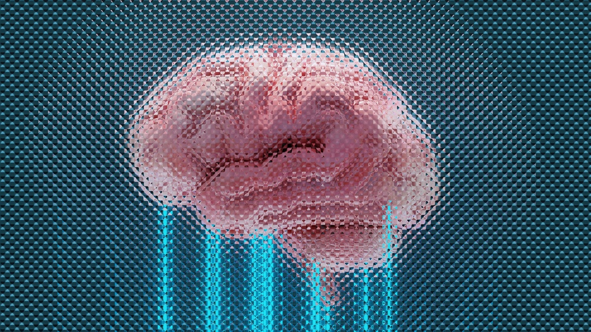    Unsplash