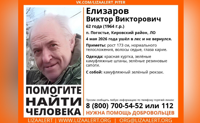    © Поисково-спасательный отряд «Лиза Алерт»