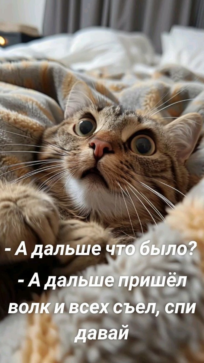 Не задавай лишних вопросов