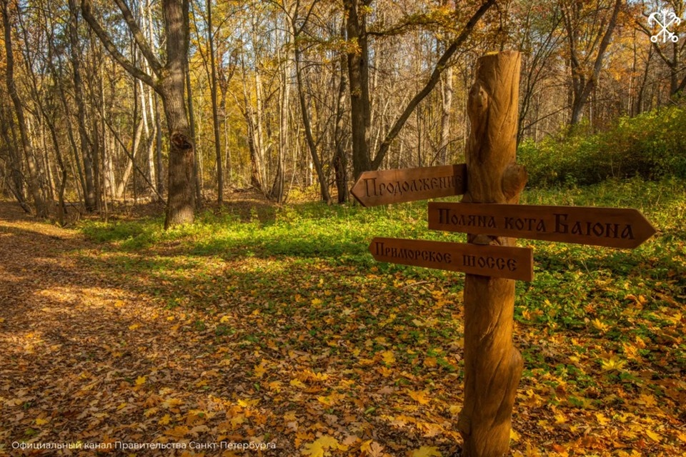    Семь оборудованных маршрутов подойдут и новичкам, и опытным туристам. Фото: max.ru/spb
