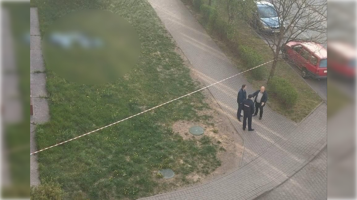 Фото: соцсети