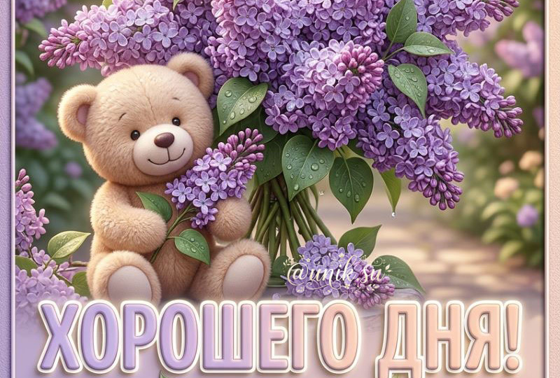 Заряжаем счастьем: пожелания хорошего дня и позитивные картинки для ваших близких