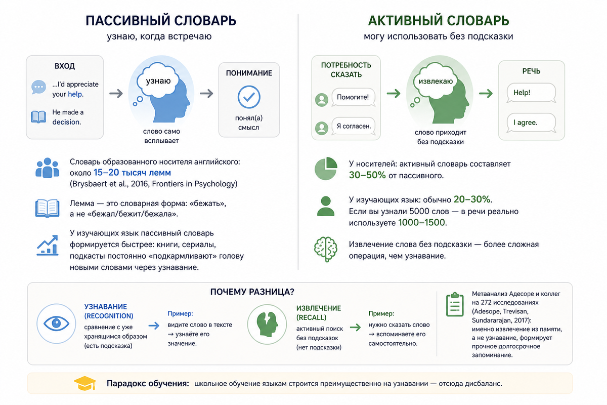 Разница между пассивным и активным словарями