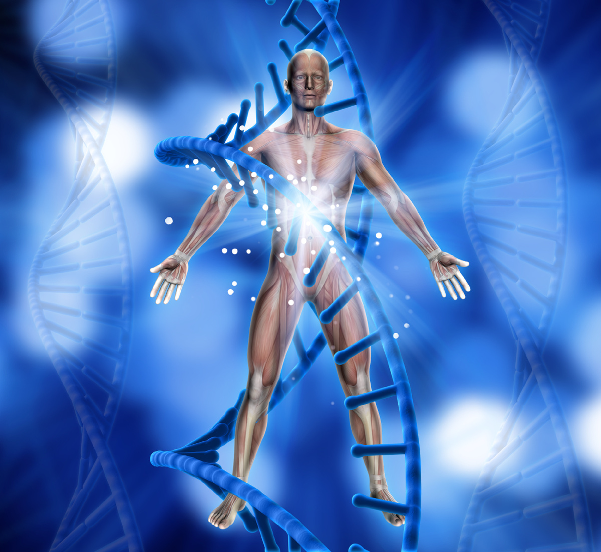 https://www.magnific.com/ru/free-photo/3d-render-medical-background-with-male-figure_1104114.htm#fromView=search&page=1&position=10&uuid=222c7432-f3e6-4e74-9ba7-c3d5c8fc44ac&query=Митохондрии