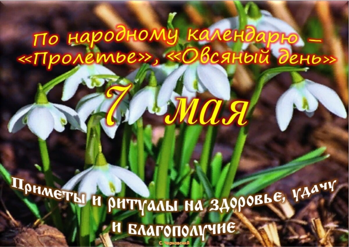 Встречаем новый день
