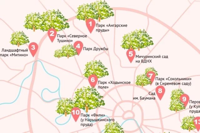    Яблони в Москве: цветение в мае 2026. Инфографика