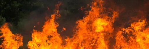 Фото: freepik.com/ilovehz