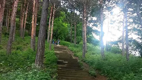 Дамский каприз