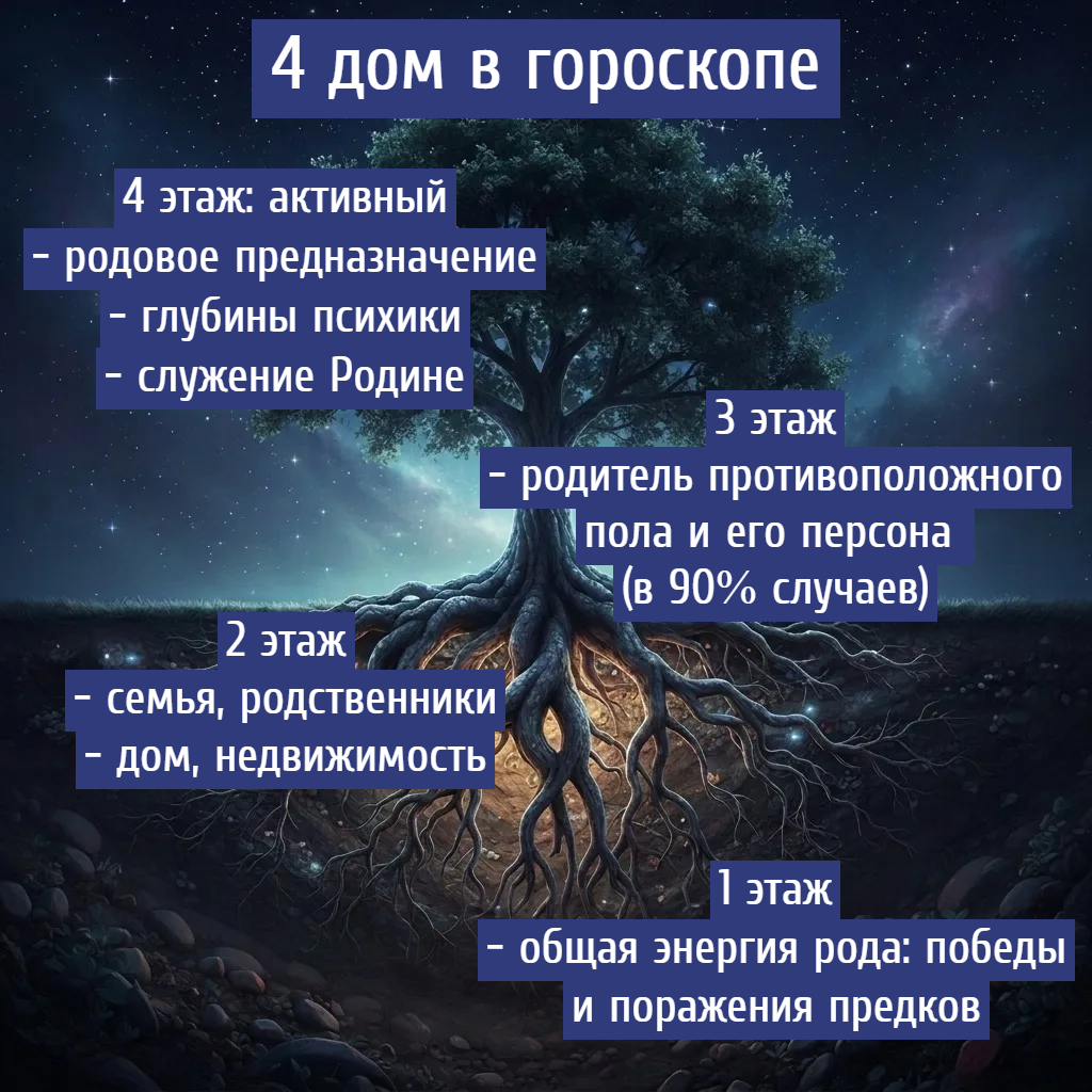 Этажи 4-го дома