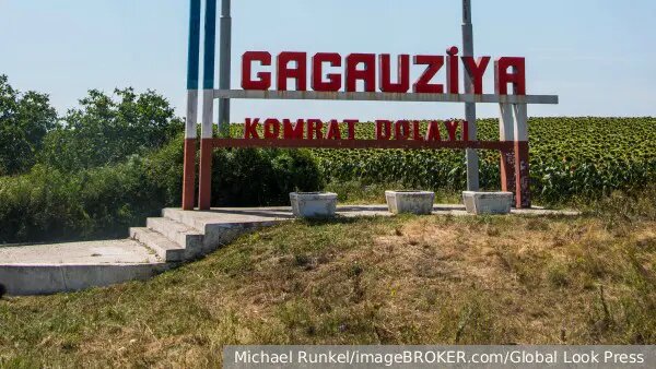    Источник: vz.ru/  Диана Петровская