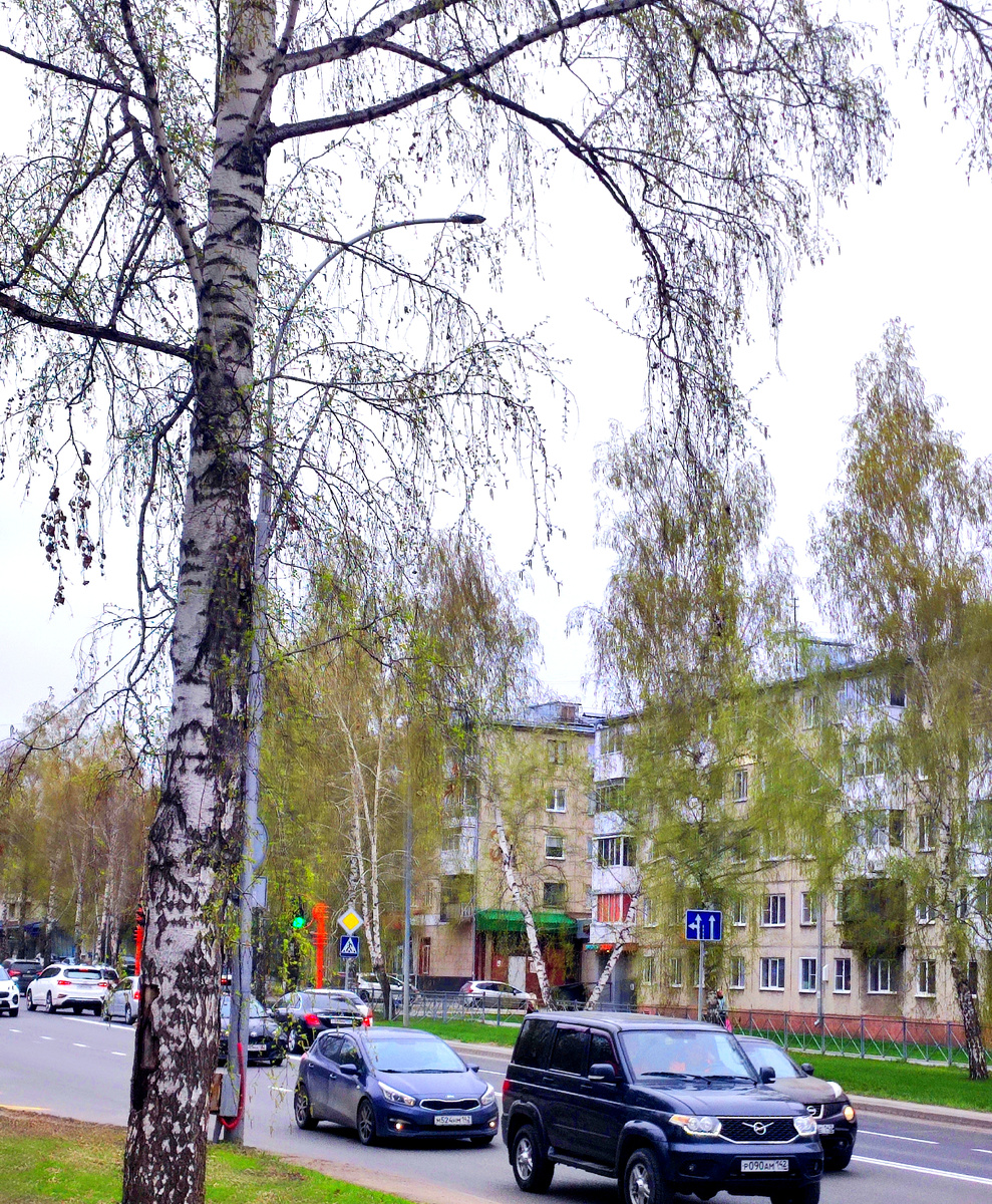 Фото автора.  Мой новый день 