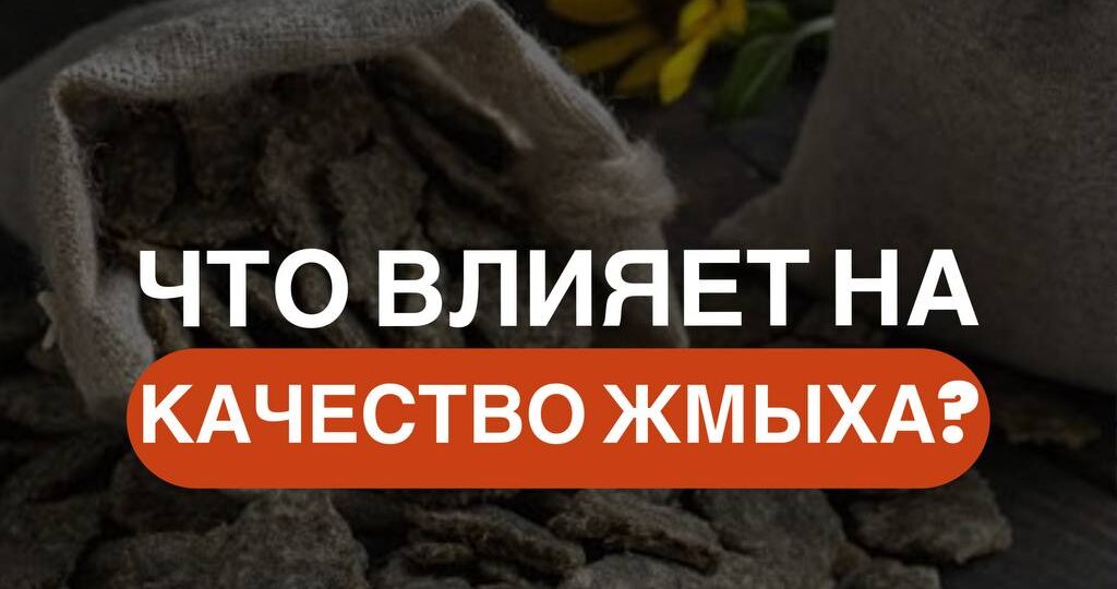 Что влияет на качество жмыха