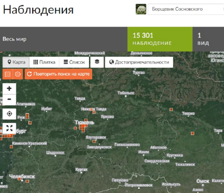  Скриншот сайта Naturalist