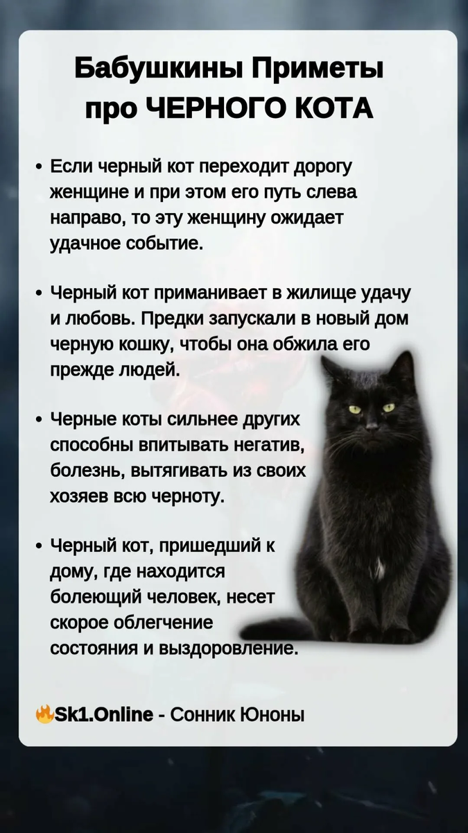 Если человек верит в приметы, можно попробовать «защитные ритуалы»: например, трижды плюнуть через левое плечо или повернуться на 360 градусов на месте, где перешла кошка дорогу. 