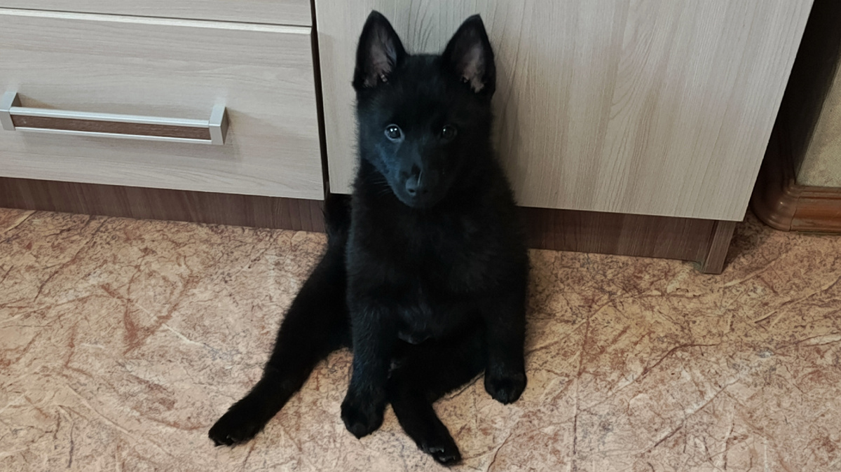 Вермут в 3 месяца