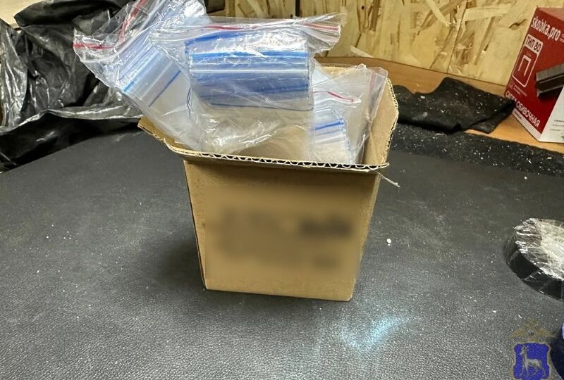Педагог из Тольятти попытался наладить наркотрафик в Сызрани - полиция сработала вместе ФСБ