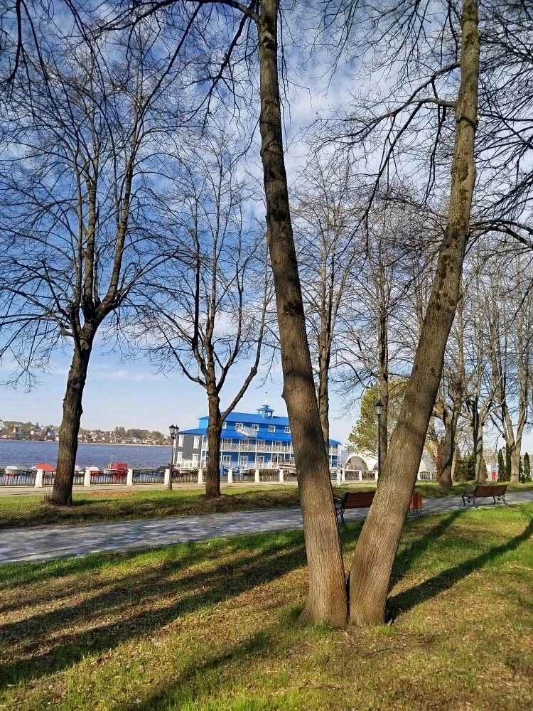 Здесь и далее - фото автора