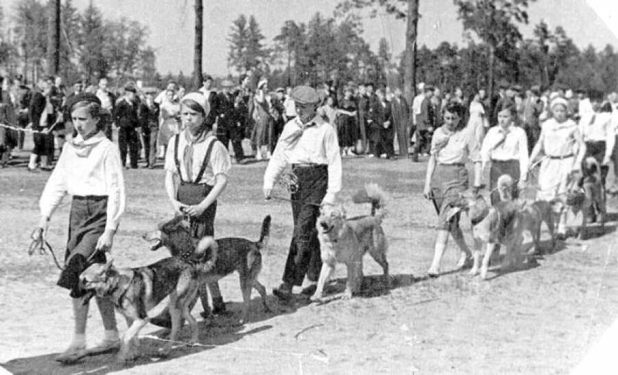 юные собаководы в парке Сосновка (1939)