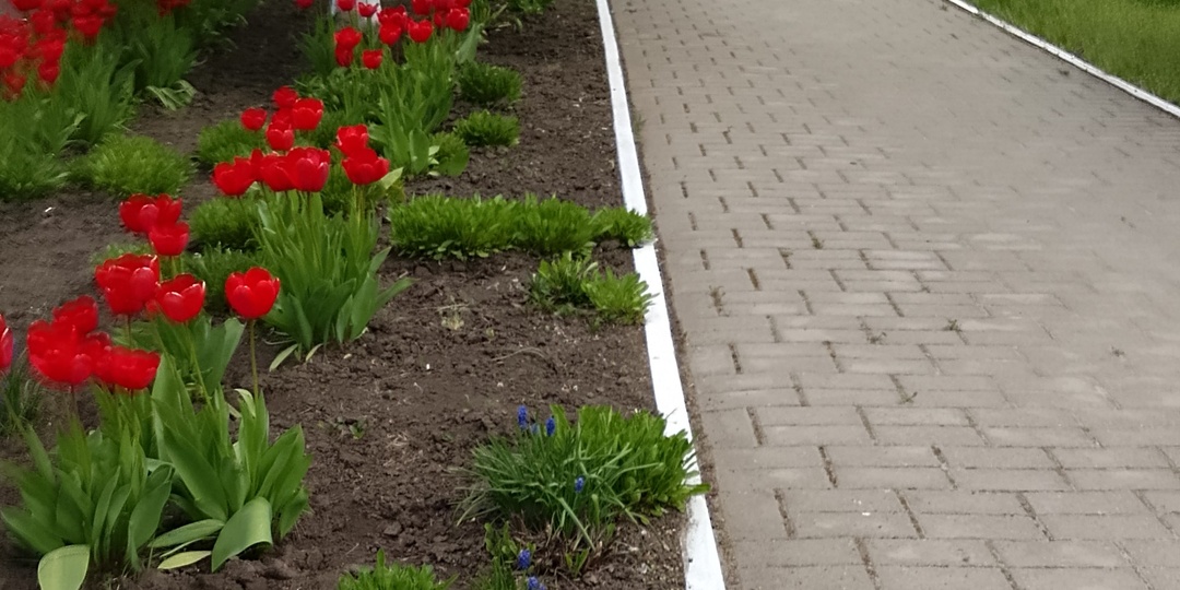 Берегите здоровье