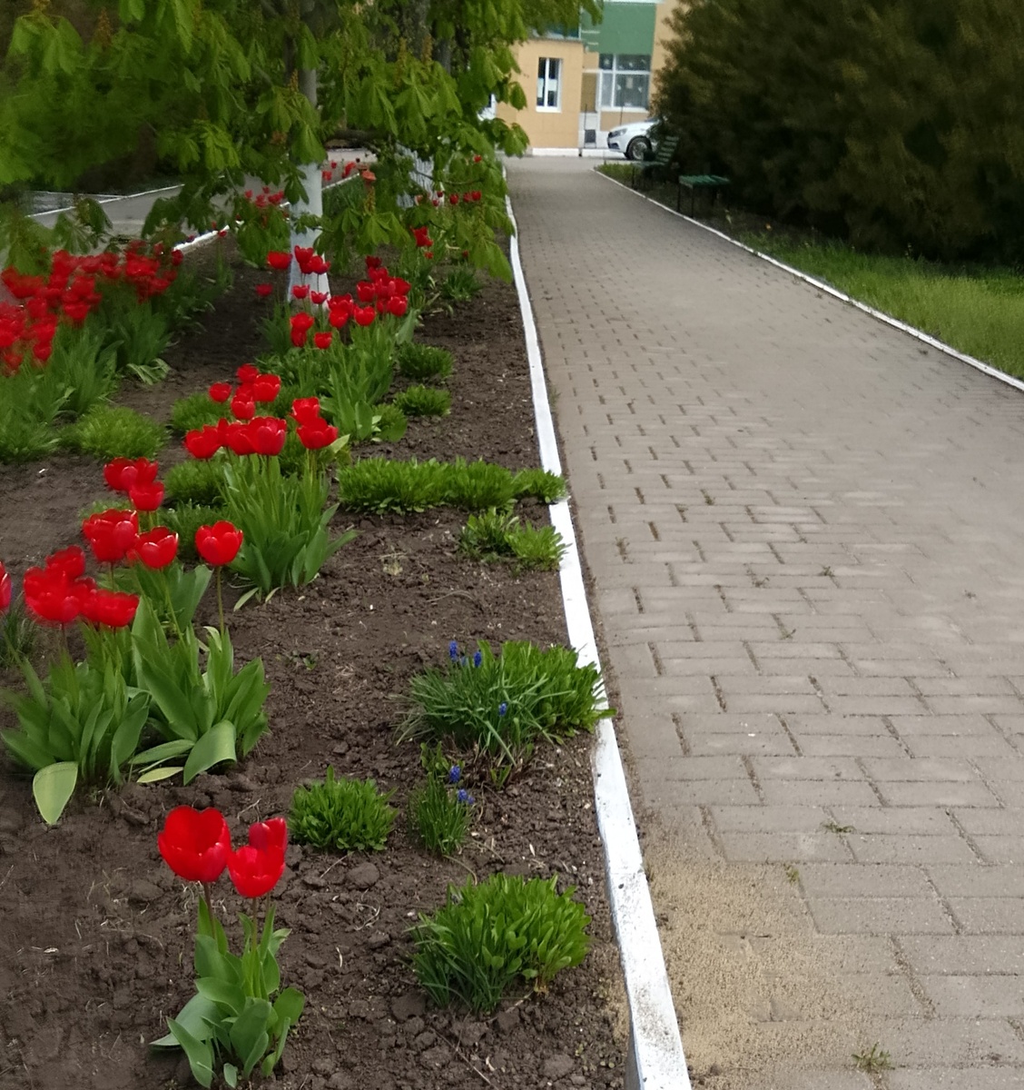 Аллея
