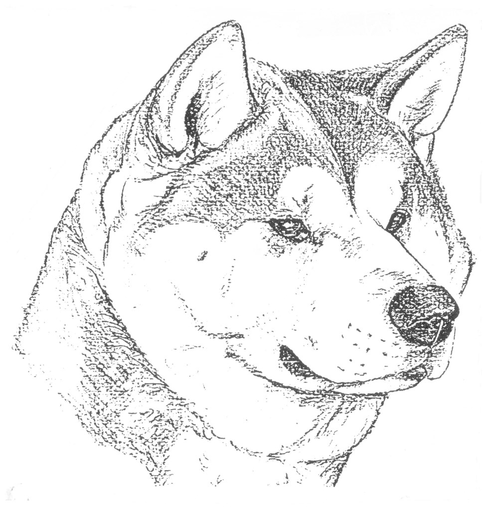 https://fci.be/en/nomenclature/AKITA-255.html