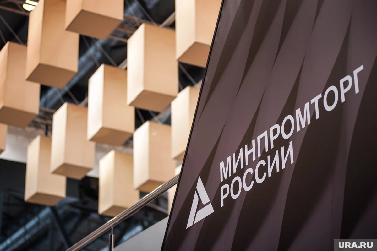     Обращение к Минпромторгу подали производители обуви, указано в материале