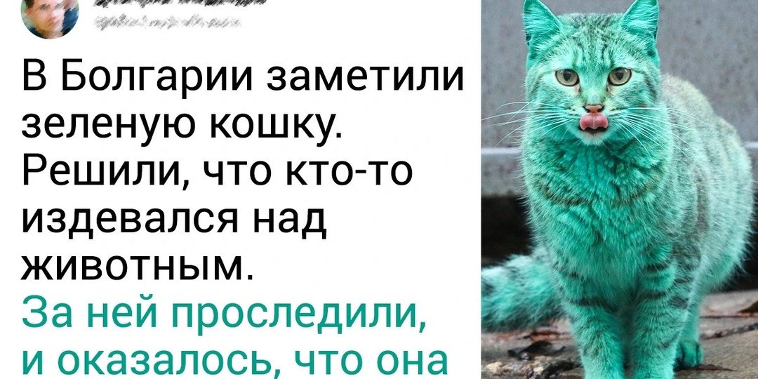 15+ захватывающих историй, которые были запечатлены в одном случайном кадре