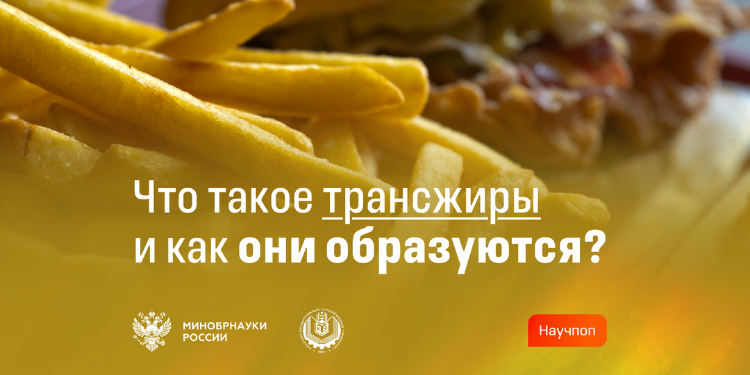 Трансжиры: происхождение, распространение и влияние на здоровье