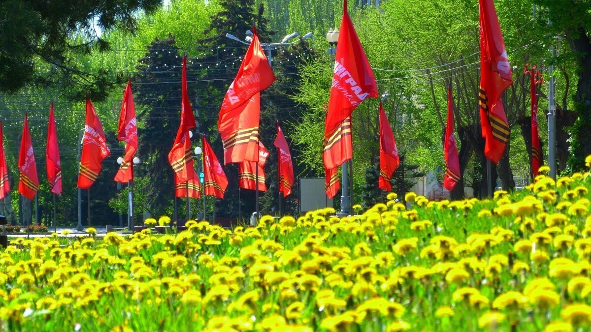    Погода на 9 мая порадует волгоградцев   novostivolgograda.ru