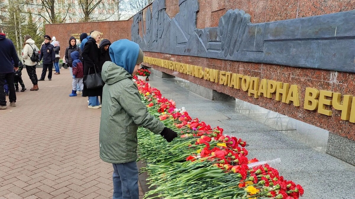  udm-info.ru