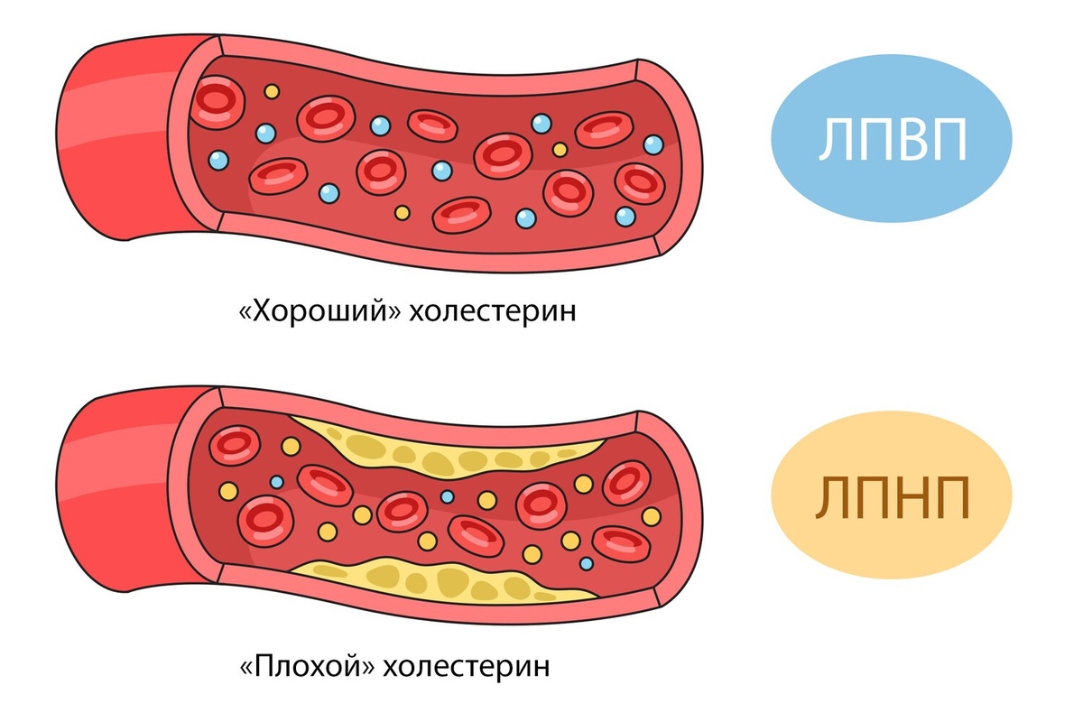 Источник: gazeta.ru