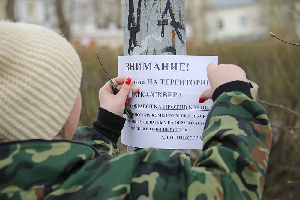    Татьяна Андреева/РГ