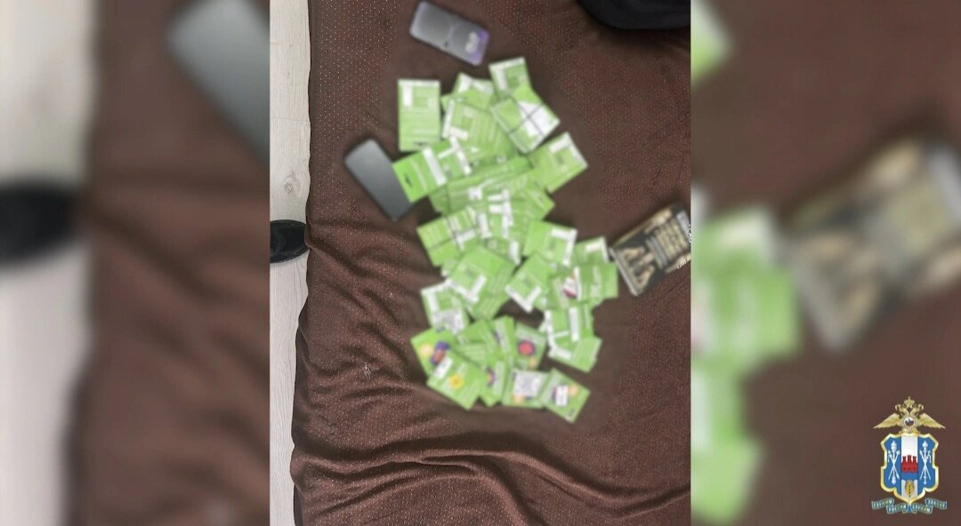    Фото: ГУ МВД России по РО