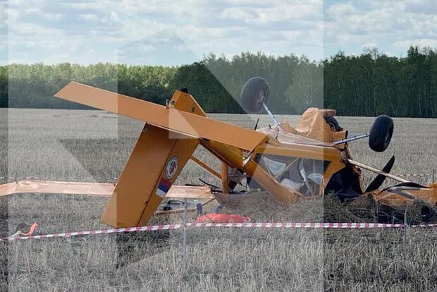    Источник: lenta.ru/ Елизавета Кошелева