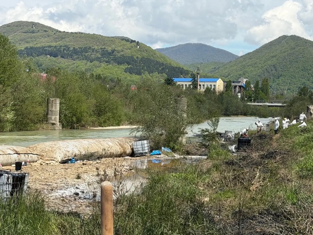 Источник изображений: Пресс-служба АГПУ