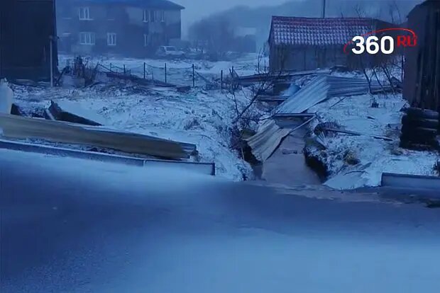    Источник: lenta.ru/ Вероника Ситникова