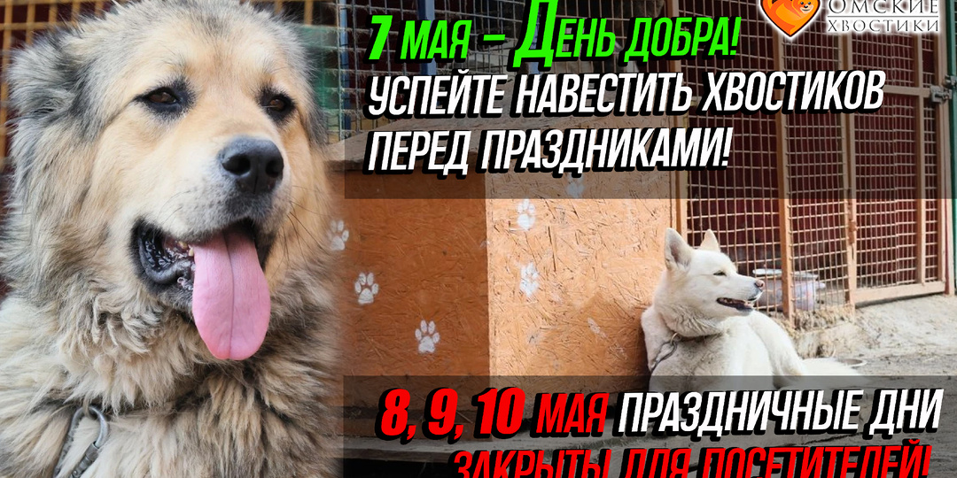 Завтра — день добра! Успейте навестить хвостиков перед праздниками!