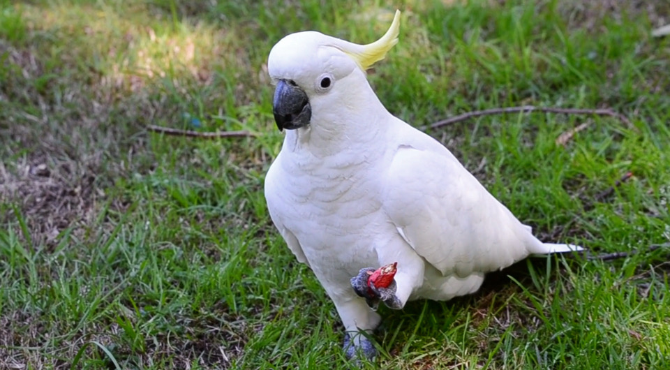   Julia Penndorf et al. / PLoS Biology, 2026