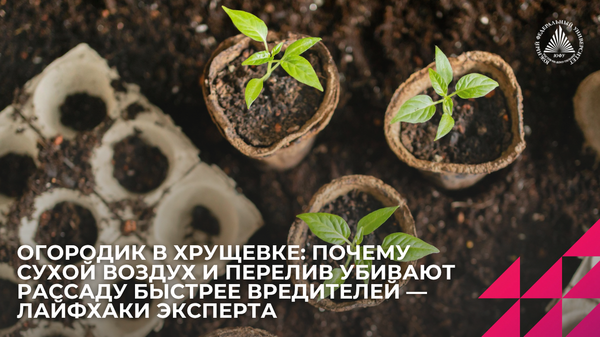 Источник: freepik.ru