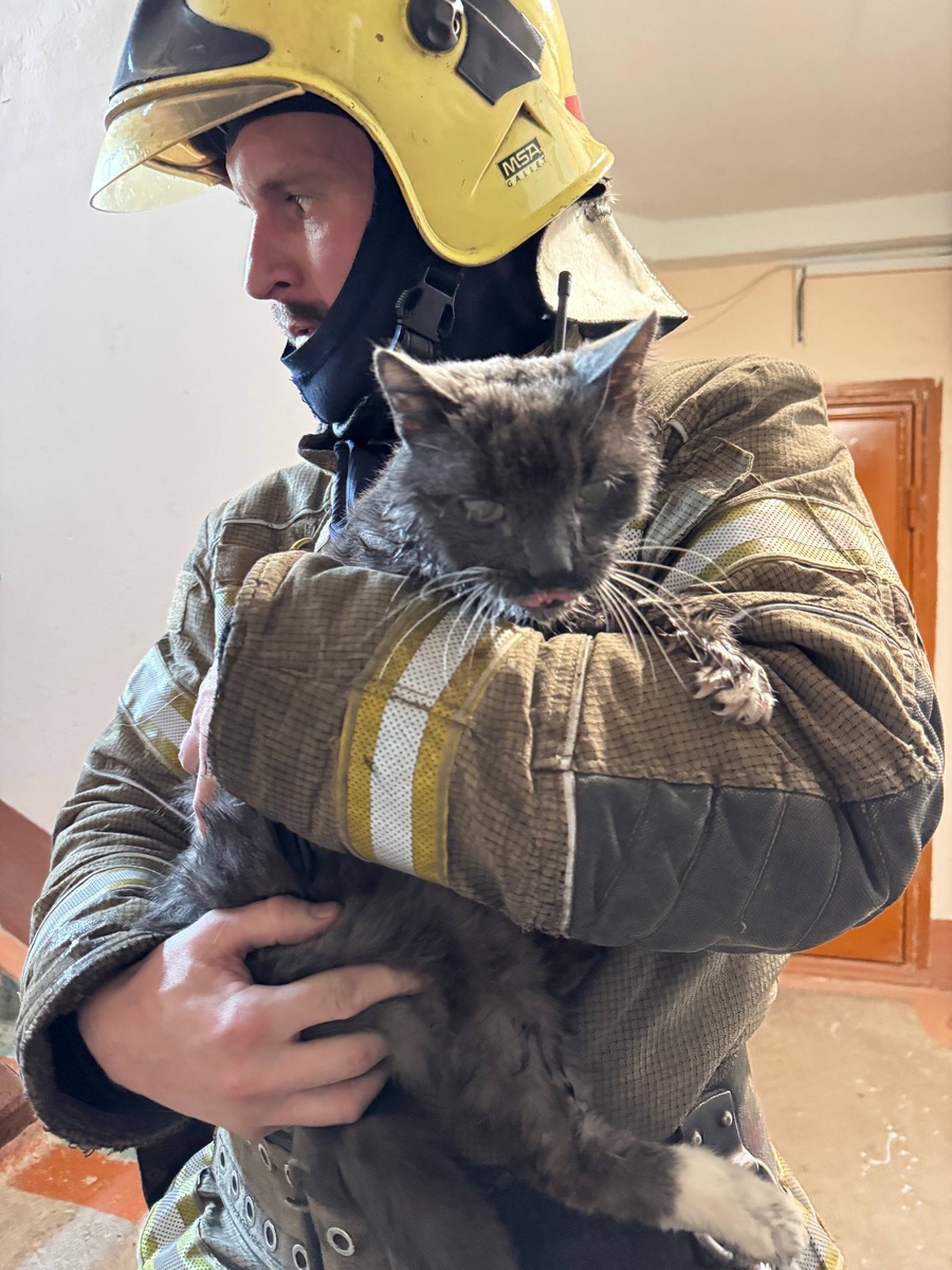 Фото: ОНД и ПР Нижнего Тагил