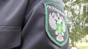    Фото: Региональный Россельхознадзор