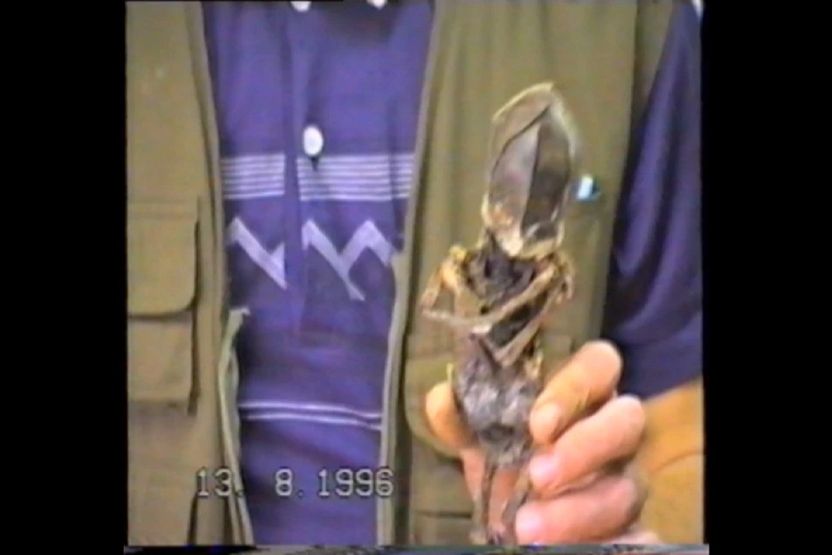    Фото: Скриншот с видео, снятого в 1996 году следователем Кыштымского РОВД Владимиром Бендлиным