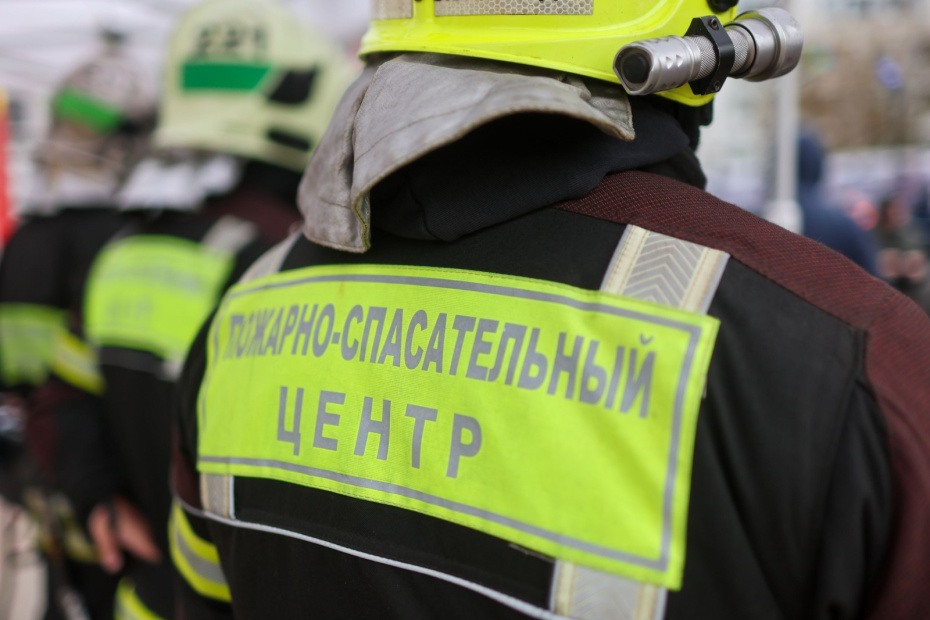    Алексей Белкин/NEWS.ru