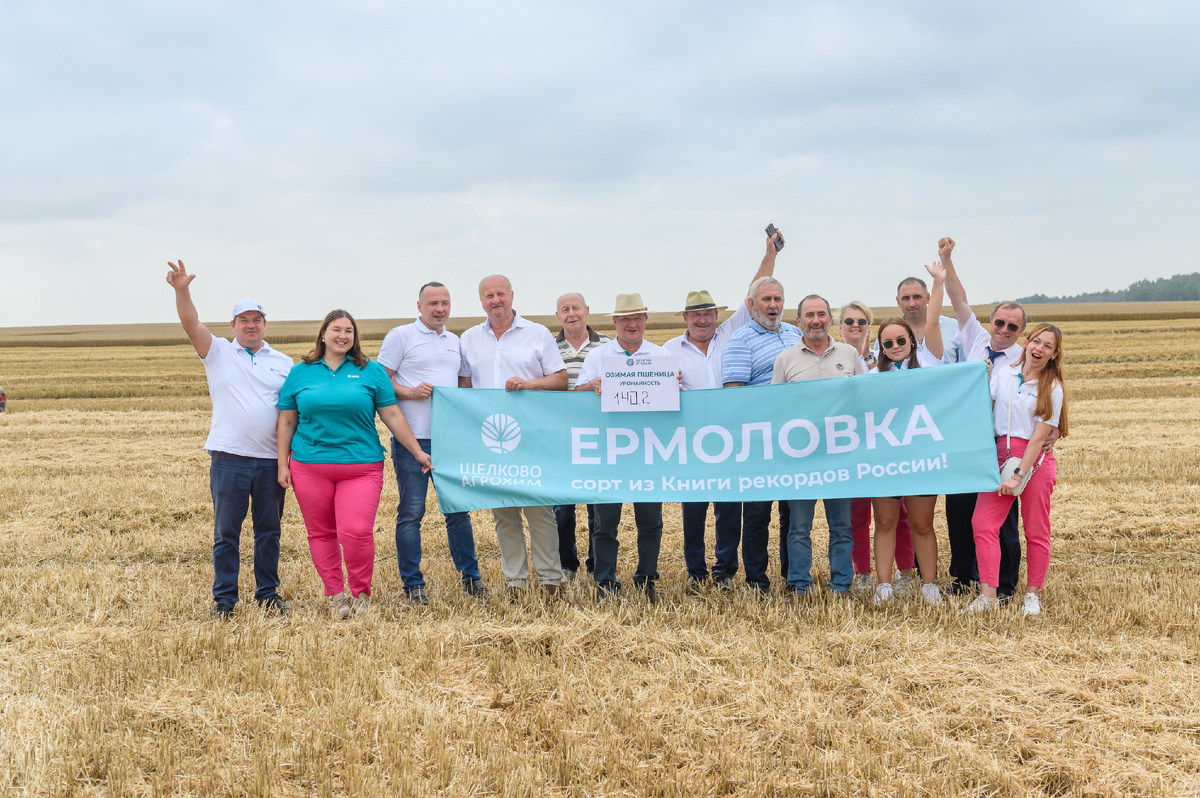 В 2025 году в ООО «Дубовицкое» Орловской области был установлен новый российский рекорд производственной продуктивности озимой пшеницы на сорте Ермоловка селекции «Щёлково Агрохим» - 140,2 ц/га! 