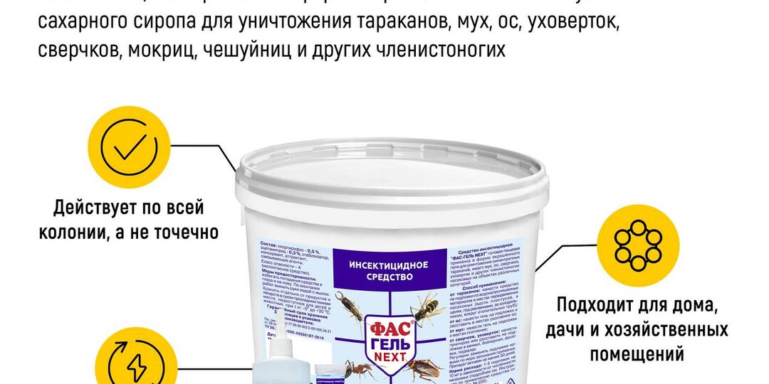 ТАРАКАНЫ И МУРАВЬИ НЕ ИСЧЕЗАЮТ САМИ