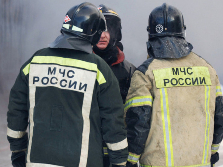     Фото: Ekaterina Sychkova/URA.RU/Global Look Press