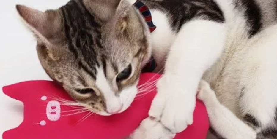 -2